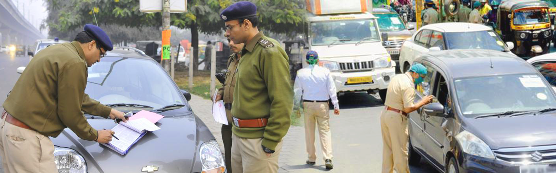 Driving License Check